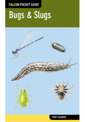Bugs & Slugs