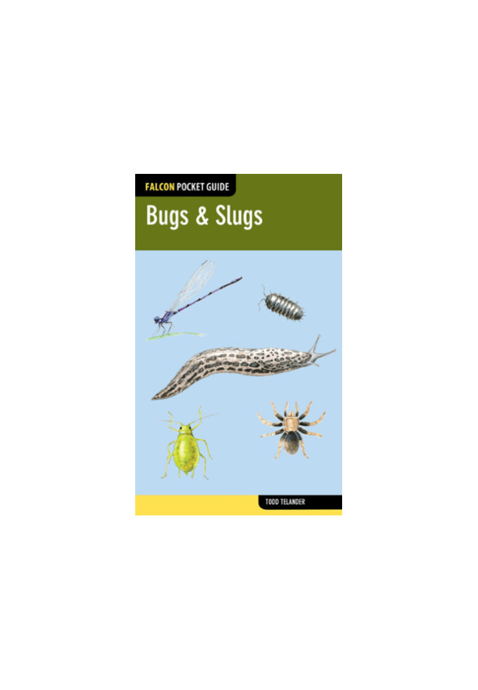 Bugs & Slugs