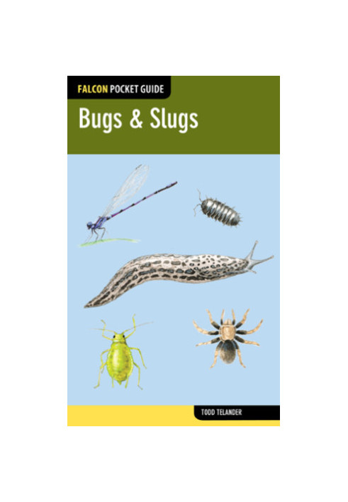 Bugs & Slugs