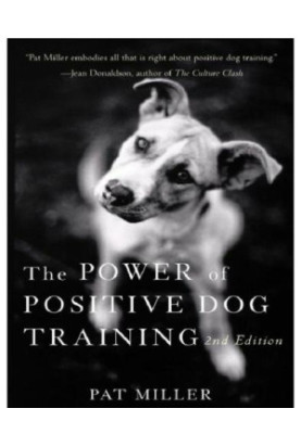 The Power of Positive Dog Training