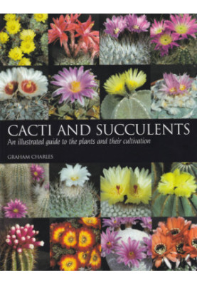 Cacti and Succulents
