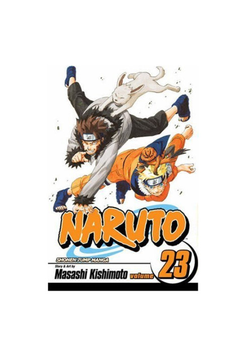 Naruto, Vol. 23: Predicament