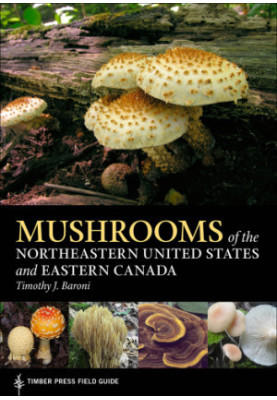 Mushrooms of the Northeastern United States and Eastern Canada