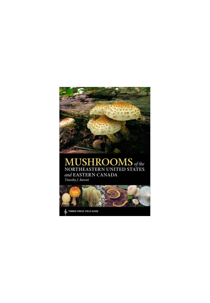 Mushrooms of the Northeastern United States and Eastern Canada