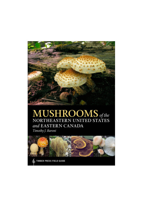 Mushrooms of the Northeastern United States and Eastern Canada