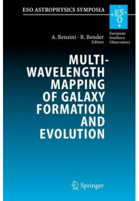 Multiwavelength Mapping of Galaxy Formation and Evolution - Proceedings of the ESO Workshop Held at Venice, Italy, 13-16 Octo