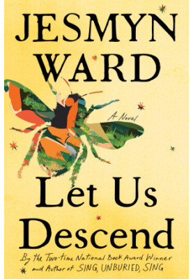 Let Us Descend: A Novel