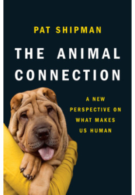 The animal connection: a new perspective on what makes us human
