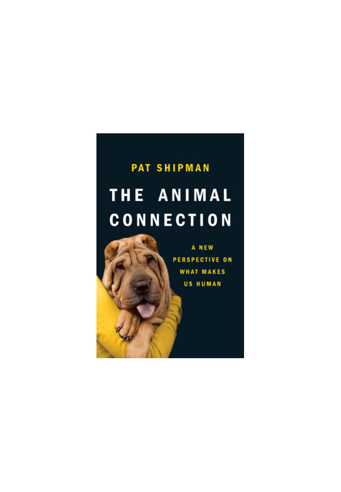The animal connection: a new perspective on what makes us human