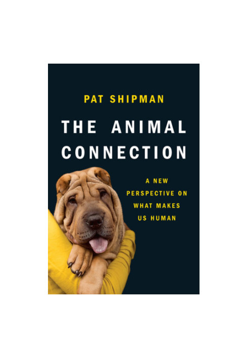 The animal connection: a new perspective on what makes us human