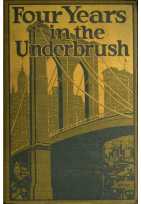 Four Years in the Underbrush: Adventures as a Working Woman in New York