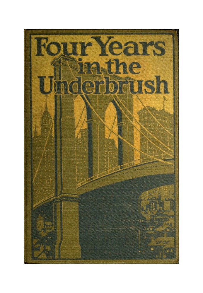 Four Years in the Underbrush: Adventures as a Working Woman in New York