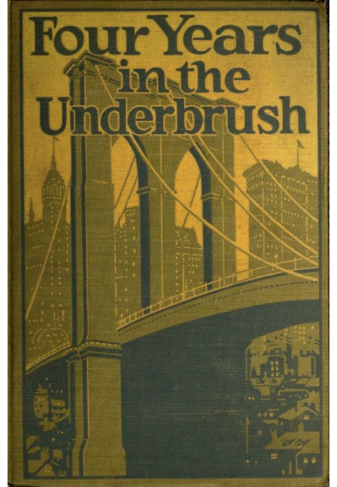 Four Years in the Underbrush: Adventures as a Working Woman in New York