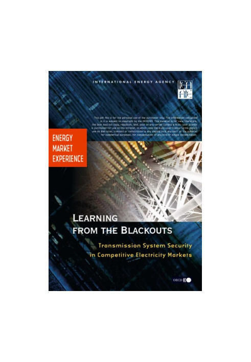 Learning fom blackouts : transmission system security in competitive electricity markets
