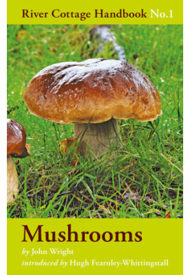 River Cottage Handbook No.1 —Mushrooms