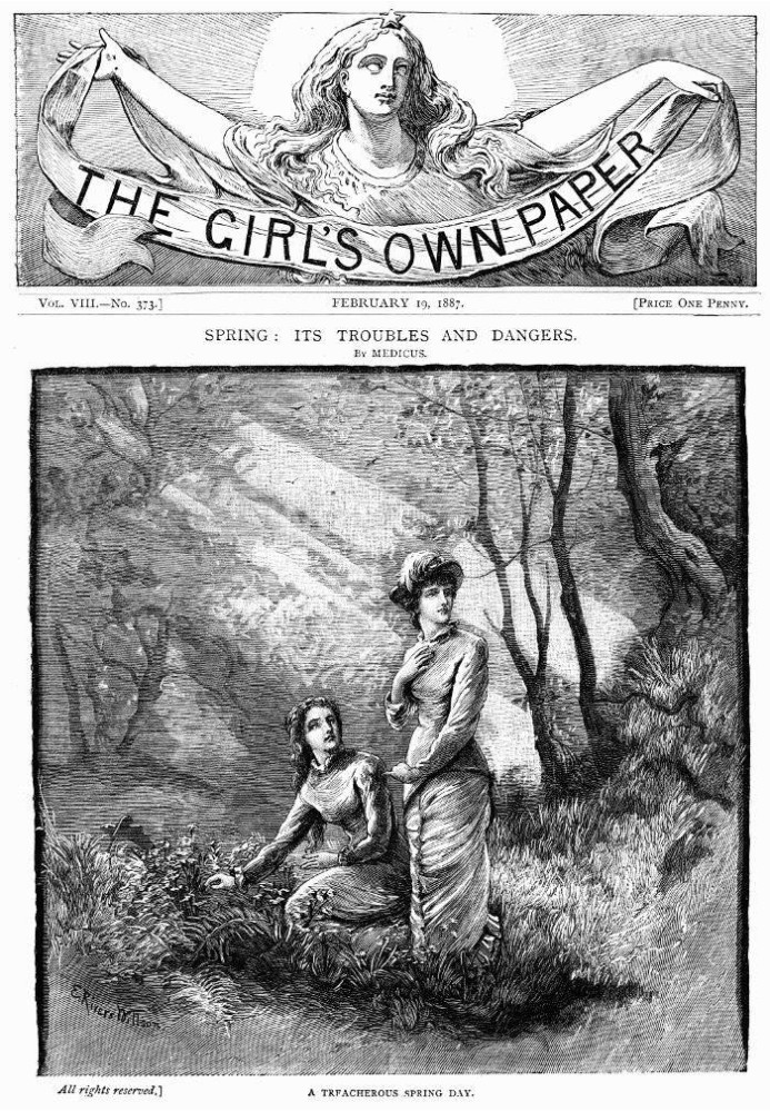 The Girl's Own Paper, Vol. VIII, № 373, 19 лютого 1887 р