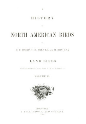A History of North American Birds Land Birds Vol. 2 of 3