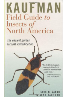 Kaufman Field Guide to Insects of North America (Kaufman Field Guides)