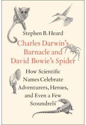 Charles Darwin's Barnacle and David Bowie's Spider