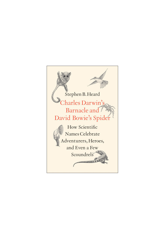 Charles Darwin's Barnacle and David Bowie's Spider