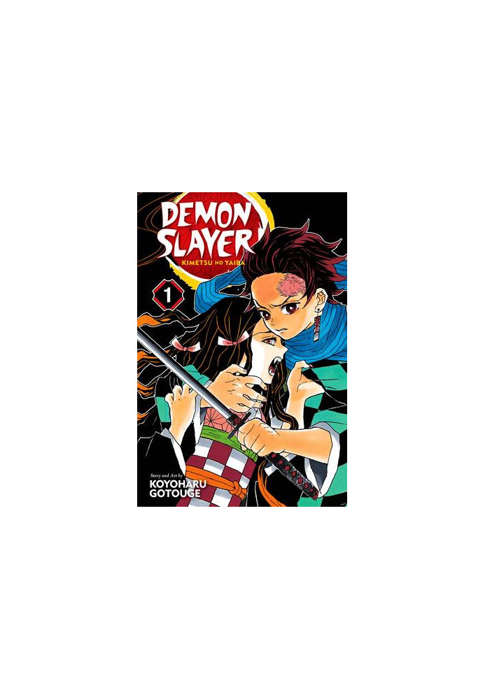 Demon Slayer: Kimetsu No Yaiba, Vol. 1: Cruelty