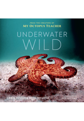 The Underwater Wild