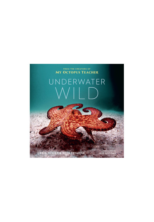 The Underwater Wild
