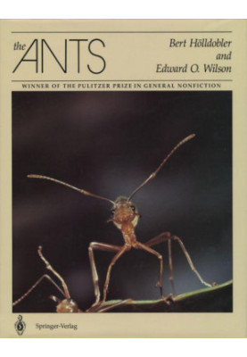 The Ants