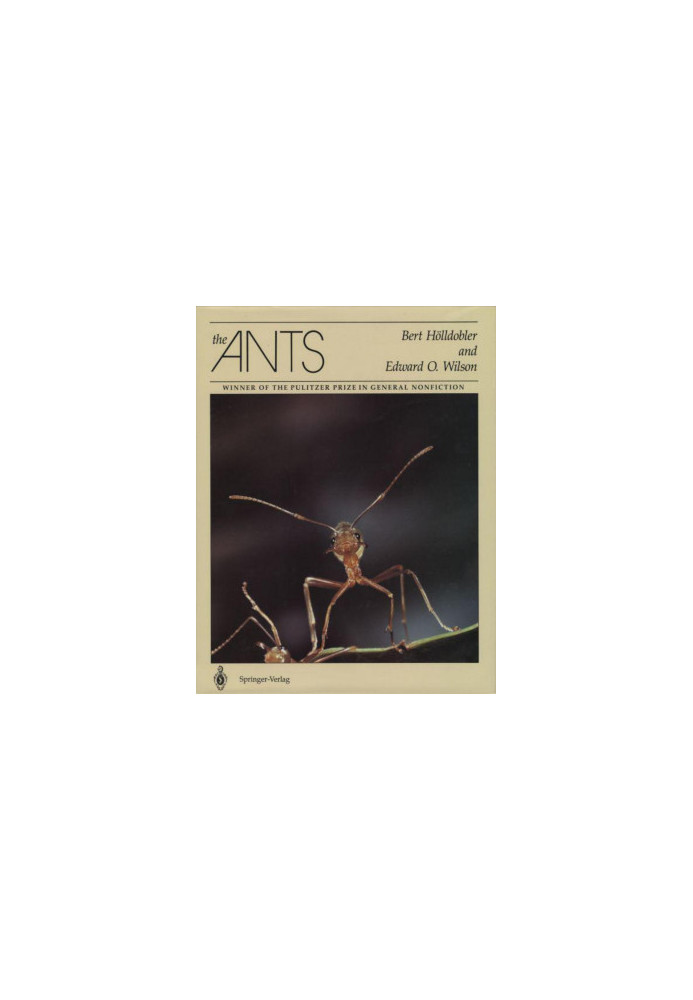 The Ants