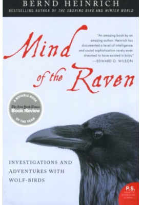 Mind of the Raven: Investigations and Adventures with Wolf-Birds