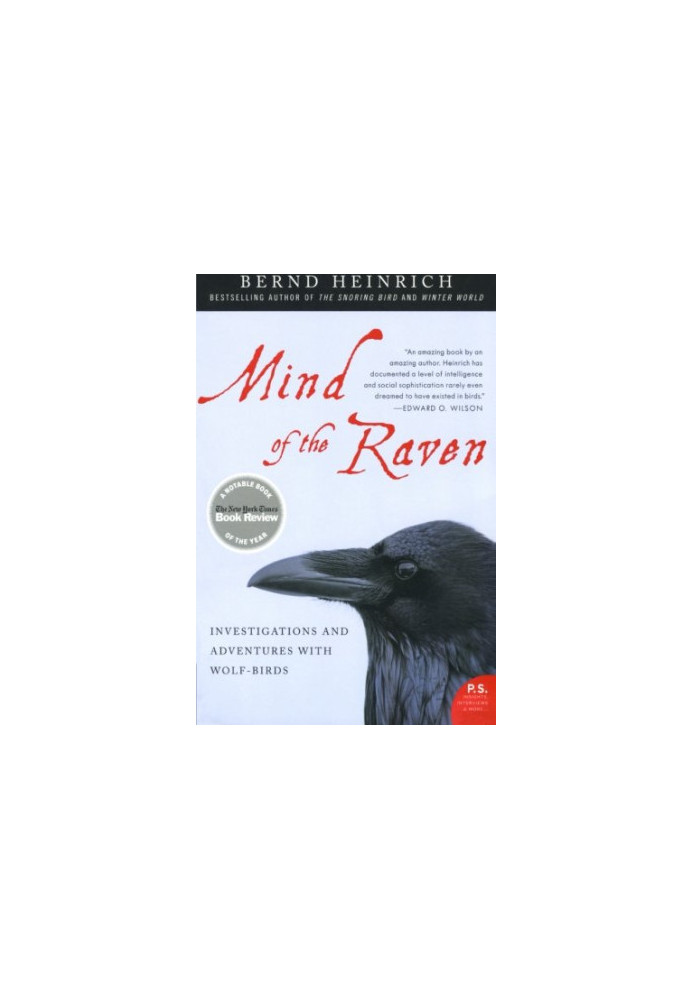 Mind of the Raven: Investigations and Adventures with Wolf-Birds