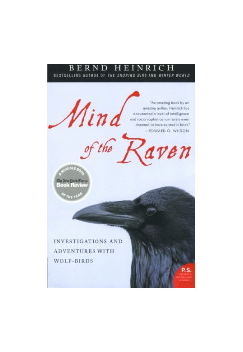 Mind of the Raven: Investigations and Adventures with Wolf-Birds