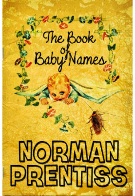 The Book of Baby Names