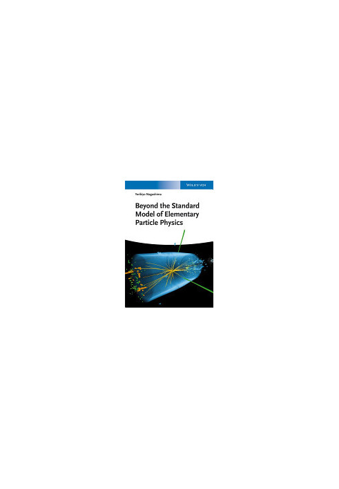 Beyond the Standard Model of Elementary Particle Physics