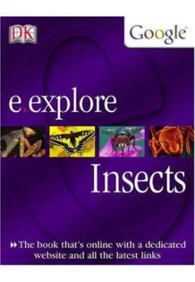 E.Explore: Insects