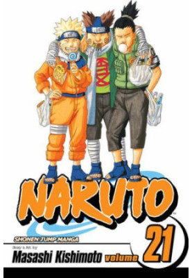 Naruto, Vol. 21: Pursuit