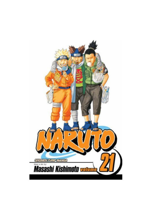 Naruto, Vol. 21: Pursuit