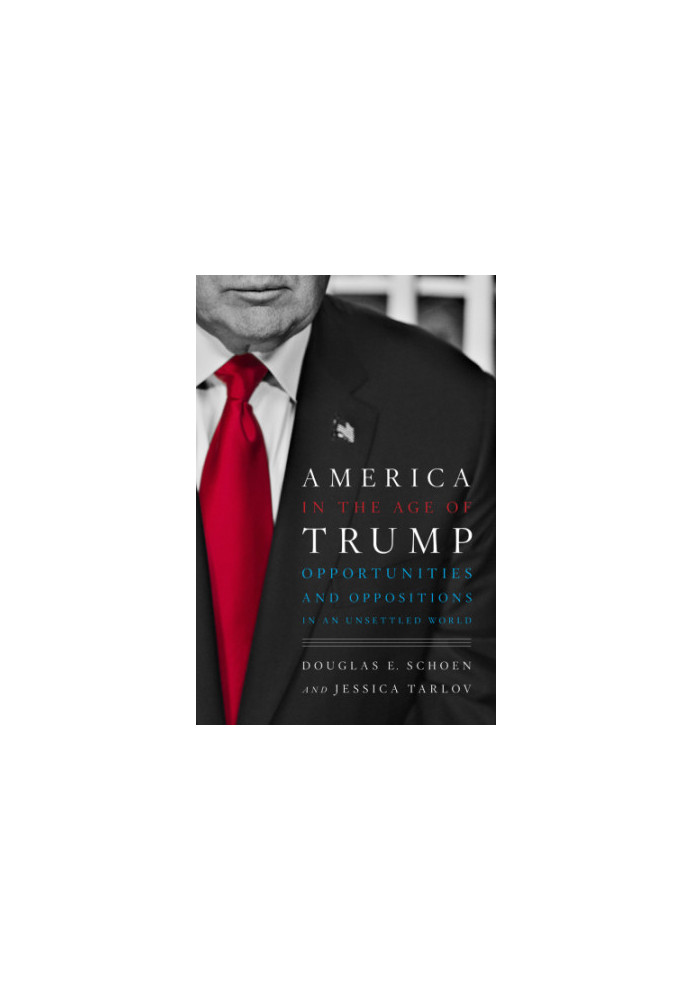 America in the age of Trump: opportunities and oppositions in an unsettled world
