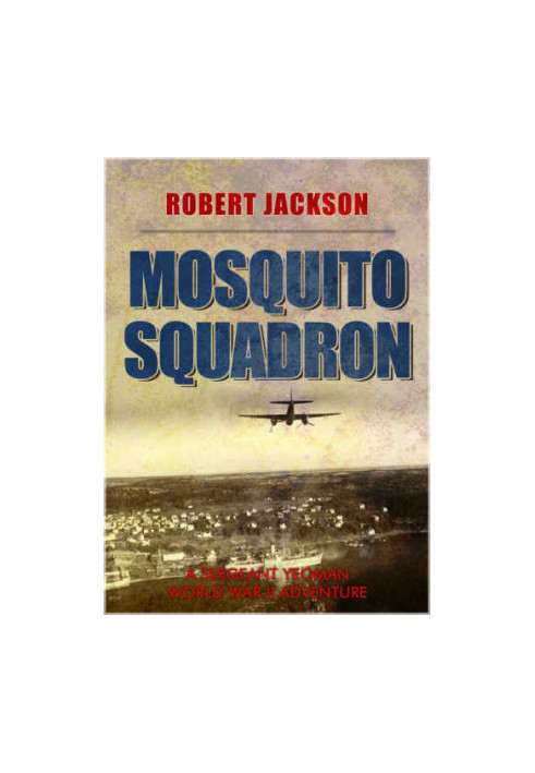 Mosquito Squadron : Yeoman in the battle over Germany