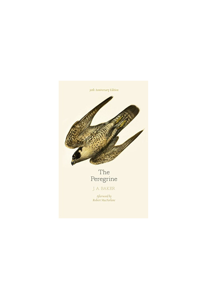 The Peregrine