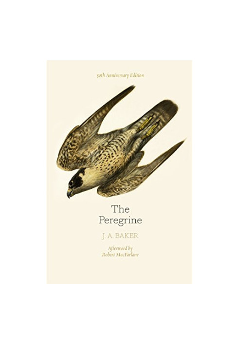 The Peregrine