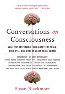 Conversations about Consciousness