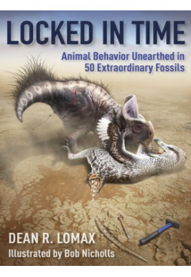 Locked in Time: Animal Behavior Unearthed in 50 Extraordinary Fossils