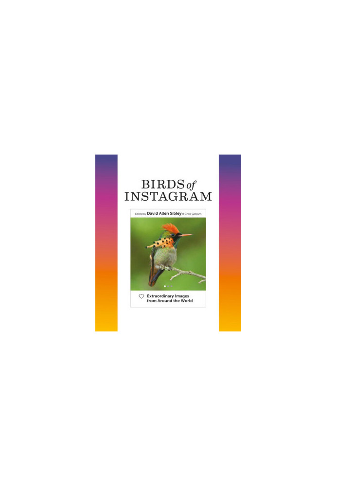 Birds of Instagram: Extraordinary Images from Around the World