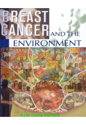 Breast Cancer and the Environment: A Life Course Approach