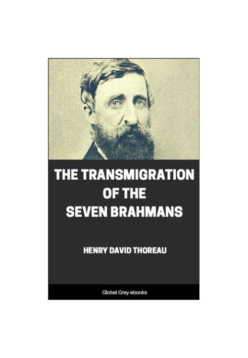 The Transmigration of the Seven Brahmans