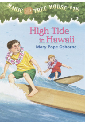High Tide in Hawaii