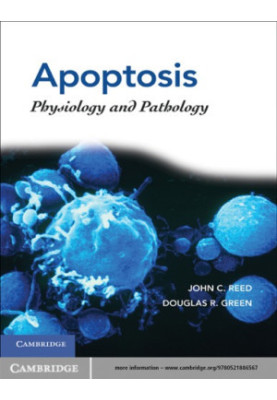 Apoptosis: physiology and pathology