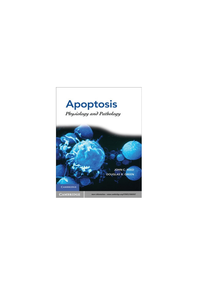 Apoptosis: physiology and pathology