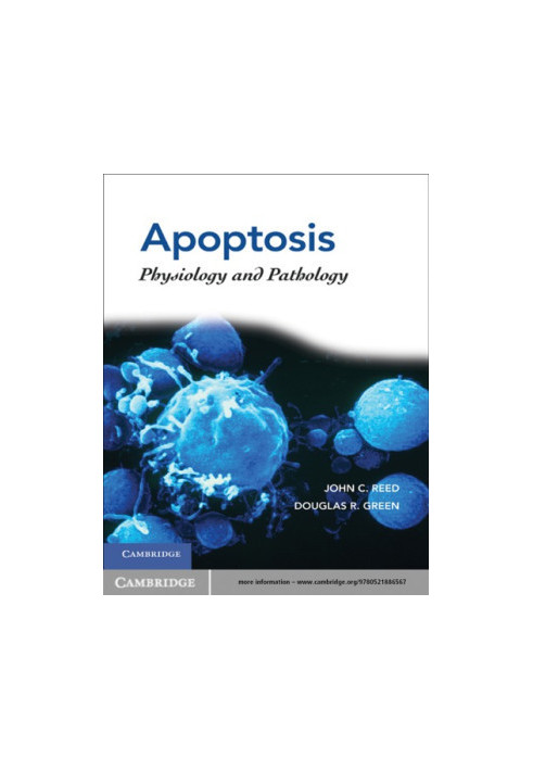 Apoptosis: physiology and pathology